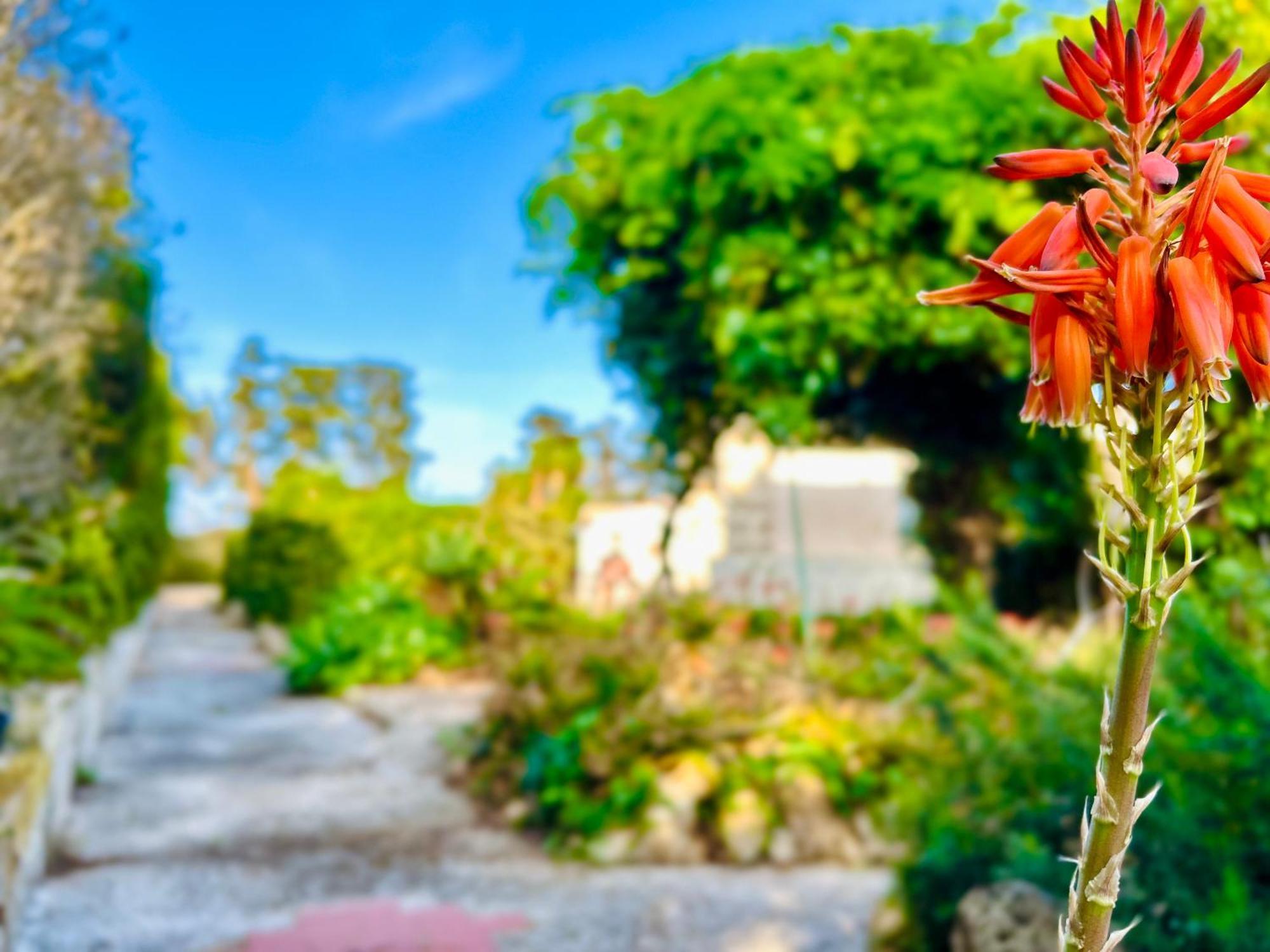 Villa Primavera Favignana Eksteriør billede