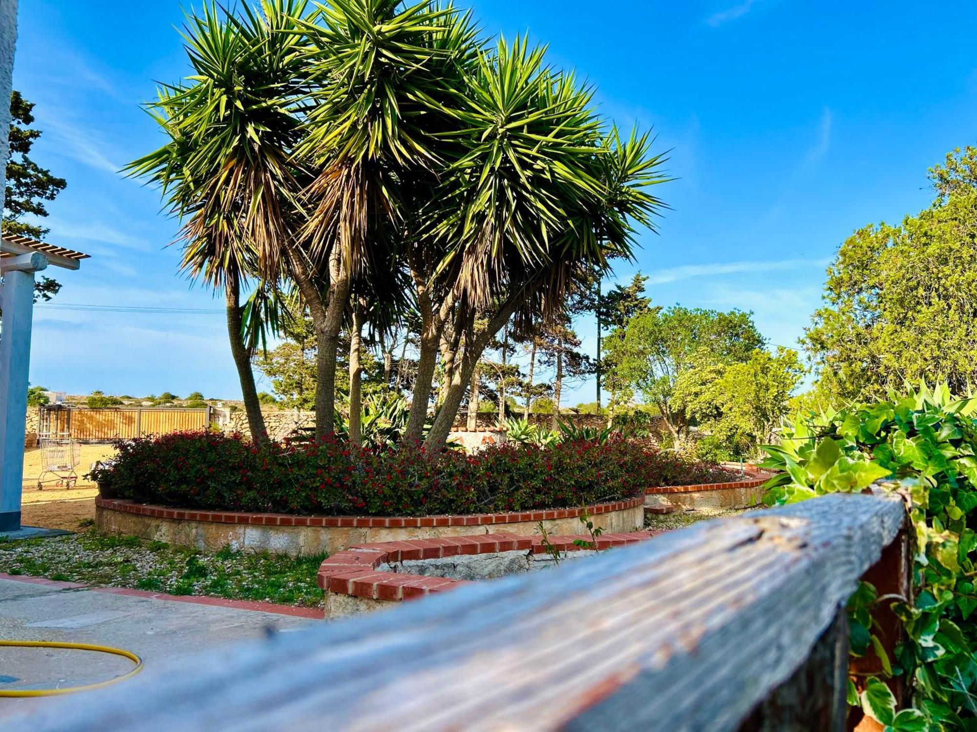 Villa Primavera Favignana Eksteriør billede